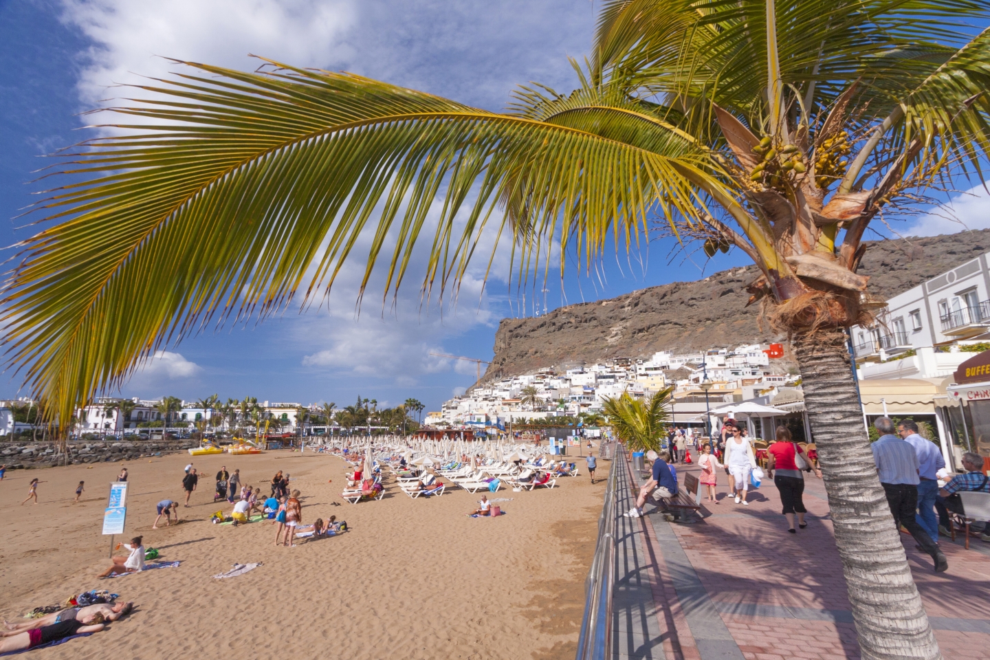 Puerto de Mog&aacute;n beach and palm trees
