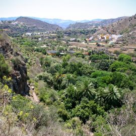 Jardín Botánico Viera y Clavijo