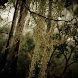 nortetrek-decathlon-tamadaba-san_pedro-010