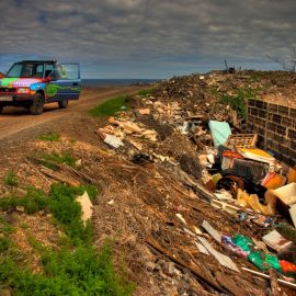 Death of a Bananafield