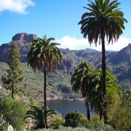 Hiking (walking - trekking)