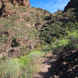 Hiking (walking - trekking)