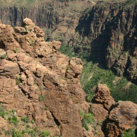 South East with Neophron