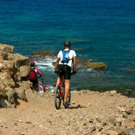 Mountain-Biking (MTB)