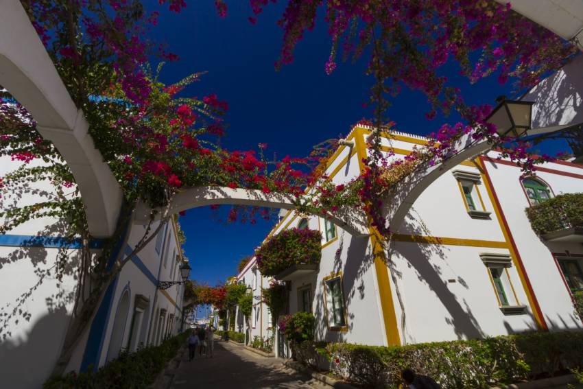 Get to know Puerto Mog&aacute;n with a stroll around the marina