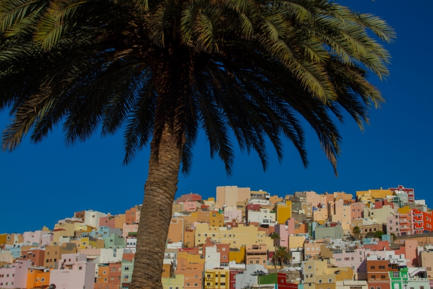 The Spanish Conquistador was born in the shade of Las Palmas' palm trees